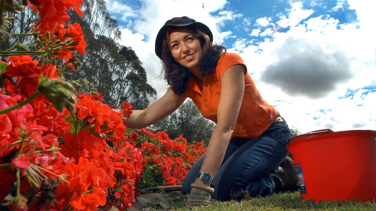 Keen gardener / entrant Dina Parisi is working hard to keep her garden looking good for the Toowoomba Carnival of Flowers. Mayor announced today that the Festival is going ahead but scaled down due to water restrictions. Picture: David Martinelli.