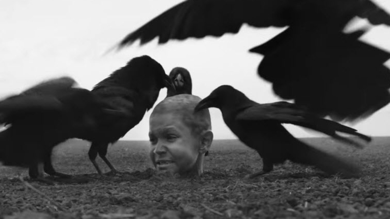 One of the film’s many harrowing scenes sees the young lead buried up to his neck and attacked by birds.