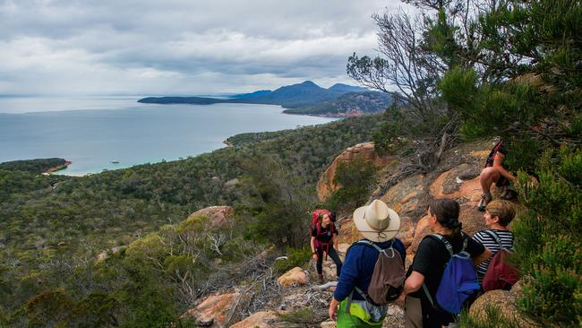 A tour takes in Bear Hill walk on Schouten Island.