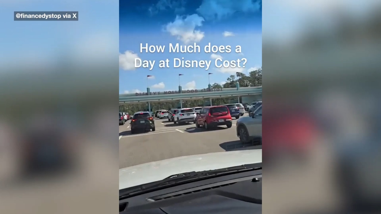 Dad in family of 5 reveals price tag for one day at Disney World