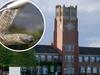 Snake sighted in Geelong Grammar dorm room