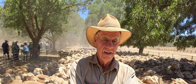 Tomcat Carroll at the Deniliquin sheep sale. Picture: Jenny Kelly