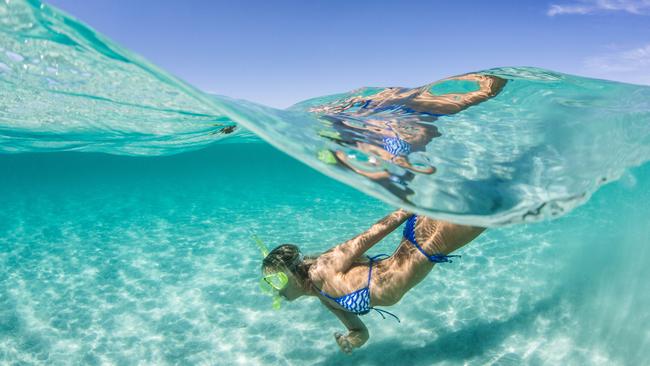 Koby Bates of Plympton Park snorkelling off the Eyre Peninsula. Picture: Robert Lang