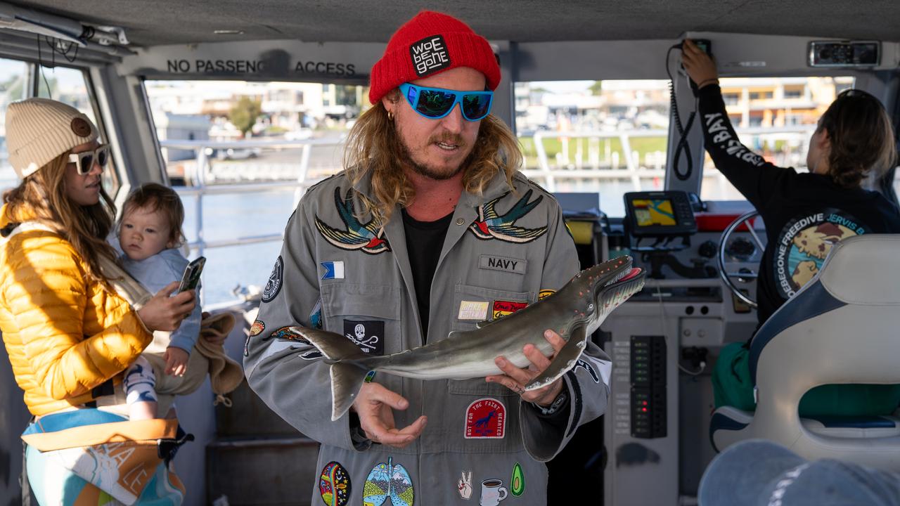 Dylan talks to the divers about a humpback encounter.