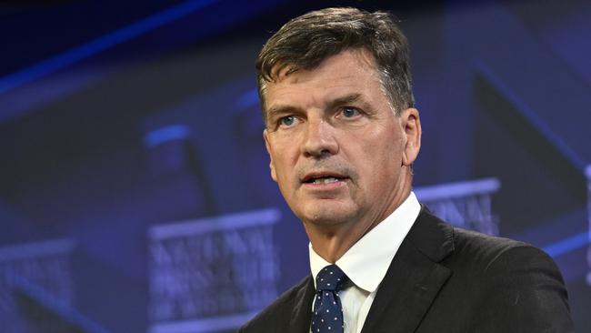 Opposition Treasury spokesman Angus Taylor. Picture: NewsWire / Martin Ollman
