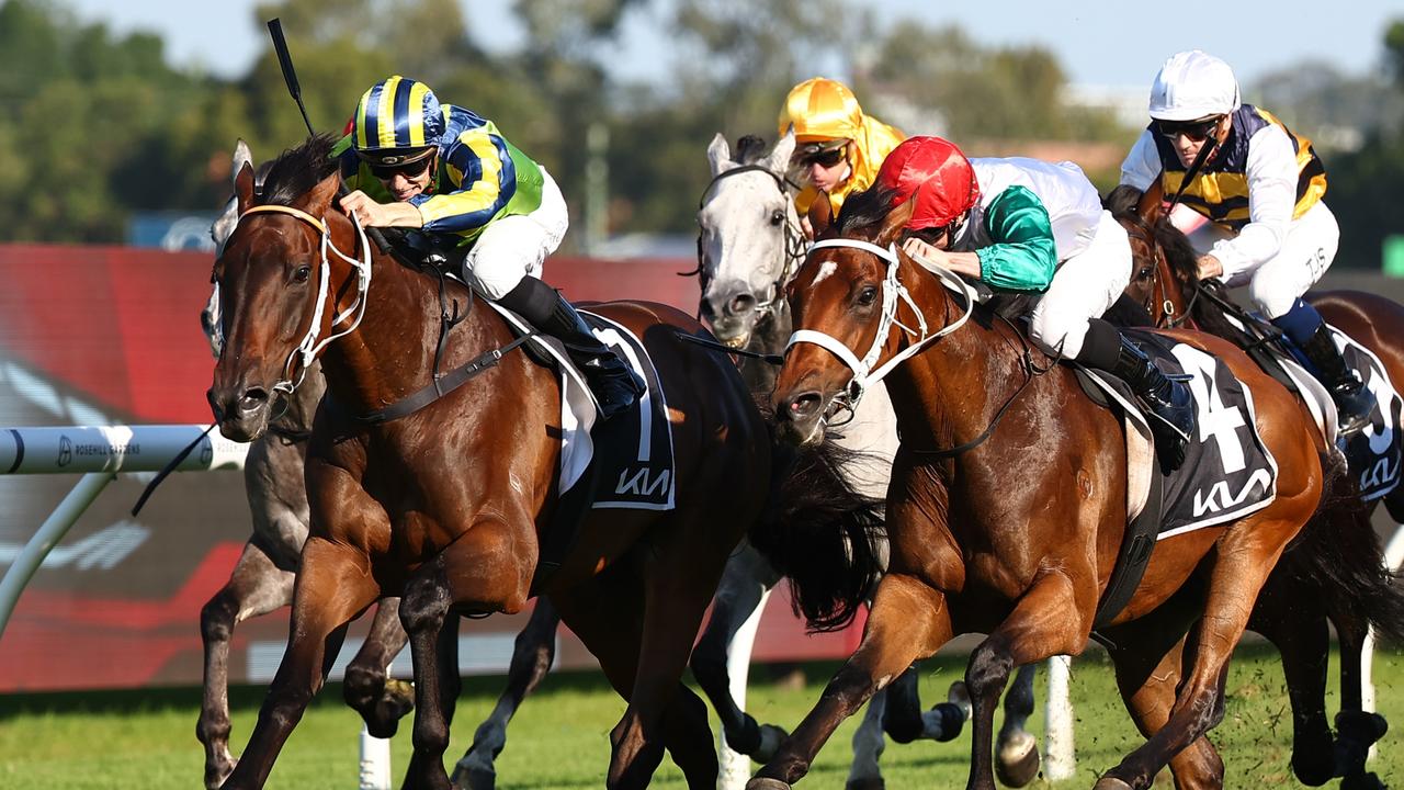 Horse racing | Horse Racing News and Thoroughbreds | Herald Sun