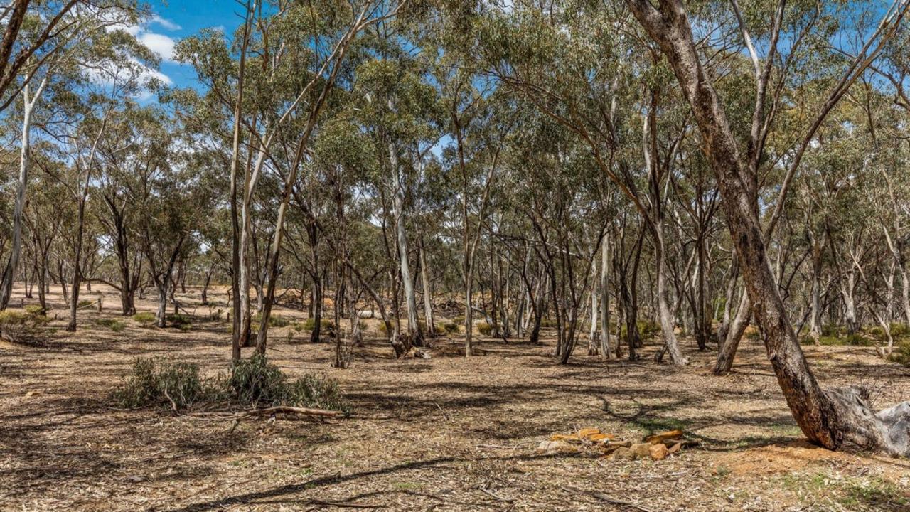 Among the trees of this golden triangle regional property past owners have found small fortunes.