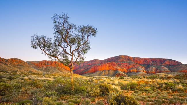 Scenes from Ormiston Pound, NT. Picture: iStock.