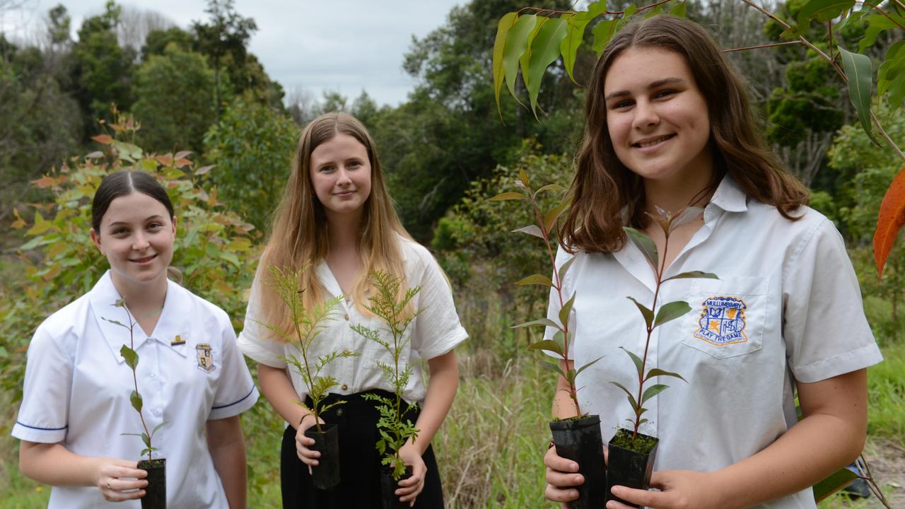 Mullumbimby High School vice-captain Indi Gumbrell and fellow students Malani Farrell and Bethany Woods prepare to plant trees as part of the new Trees for Koalas – Connecting Communities project. Picture: Liana Boss