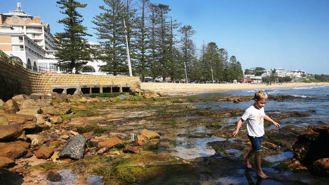 Locals have been campaigning for action to improve declining water quality at Terrigal. Picture: Sue Graham