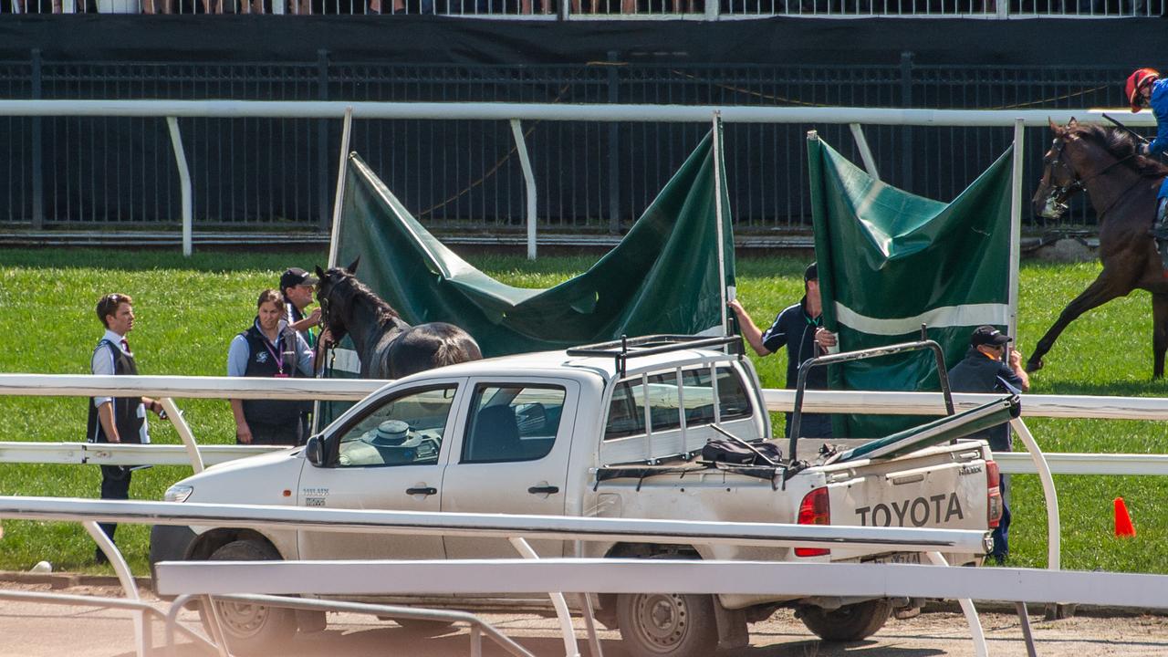 The Cliffsofmoher was euthanised in 2018. Picture: Jason Edwards