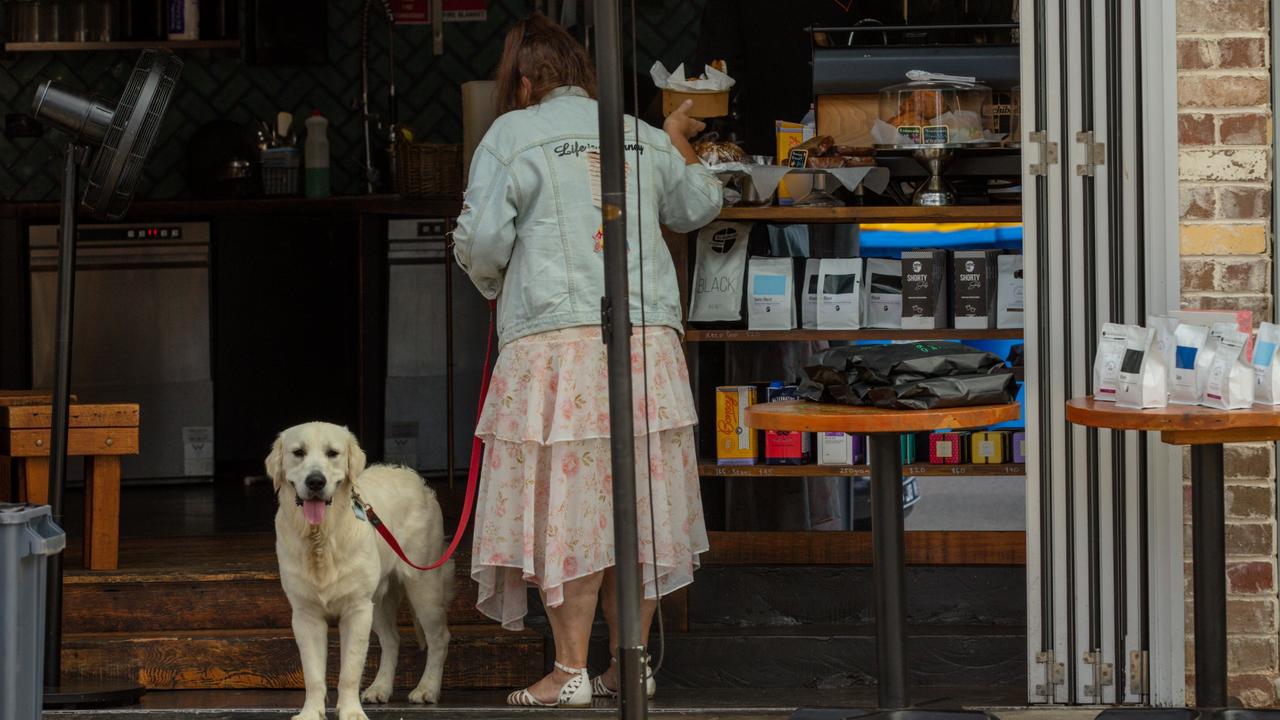 Push to allow dogs in shops