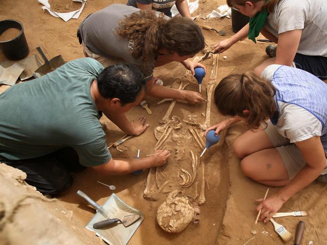 (FILES) In this file photo taken on June 28, 2016, a team of foreign archaeologists extract skeletons at the excavation site of the first Philistine cemetery ever found in the Mediterranean coastal Israeli city of Ashkelon. - Ancient bones excavated in Israel and analysed in Germany may have cracked the puzzle of the Philistines' provenance and provided for the first time evidence of the biblical people's European origins, researchers say. (Photo by MENAHEM KAHANA / AFP)