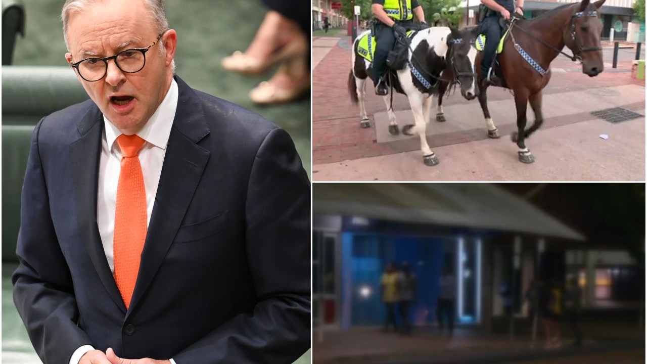 Alice Springs MP's swipe at Albanese after 'not-so-quiet' second night of curfew