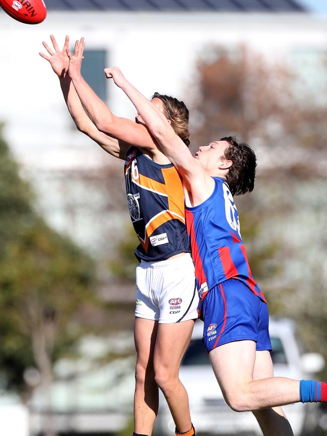 Jack Bytel flies for a mark against Oakleigh Cannons. Picture: Mark Dadswell