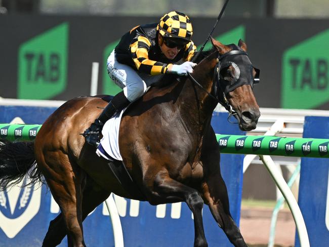 Grand Pierro, ridden by Zac Spain, wins the Bagot Handicap at Flemington. Picture: Vince Caligiuri/Getty Images