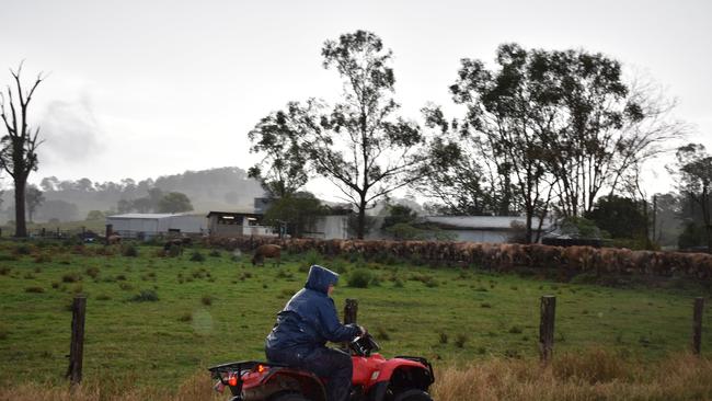 A dairy farm between Kyogle and Lismore.