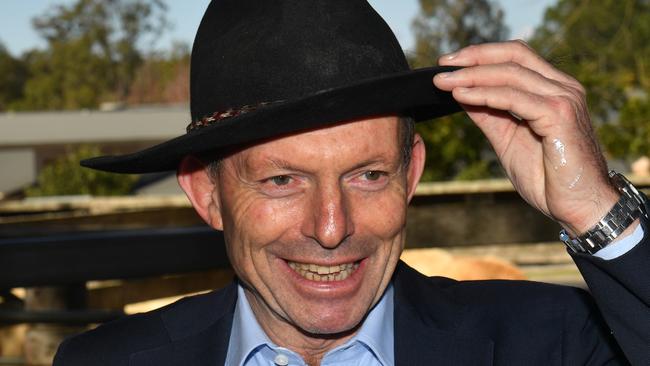 Former prime minister Tony Abbott at the Woodford cattle sales yards in Woodford, 72 km (45 miles) North west of Brisbane, Monday, July 23, 2018. (AAP Image/Mick Tsikas) NO ARCHIVING