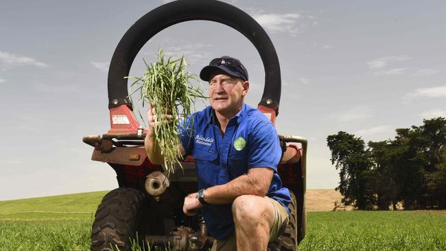 Reggie Davis, Cobden, is a partner in the Otway Pastures dairy production group. Photo: Dannika Bonser