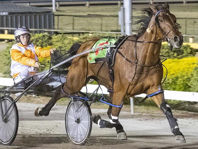 Race 7: Cranbourne Cup night, Saturday 27-10-2018 Decron Cranbourne Gold Cup (Group 2) (M0 or better) Winner: San Carlo (6) Trainer: Stephen O'Donoghue; Driver: Rebecca Bartley Race Distance: 2,555 metres, Mile Rate: 1.57.8 photography: Stuart McCormick