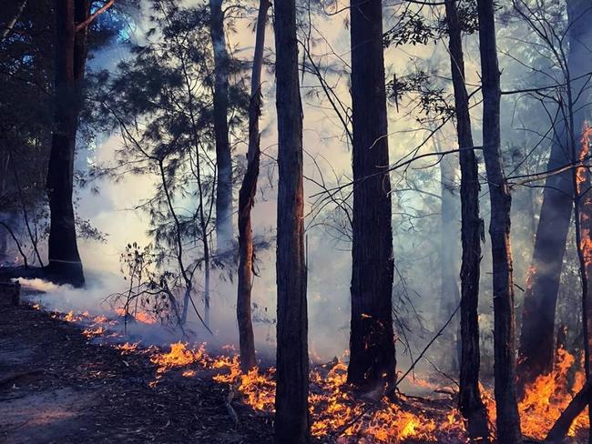 A hazard reduction burn in Hornsby last month. Picture: Hornsby Rural Fire Brigade