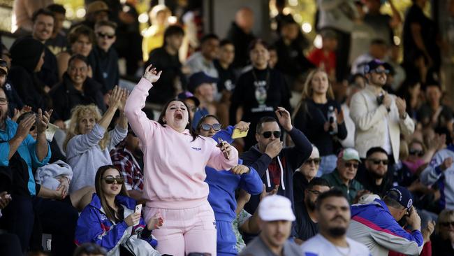 Alexandria Rovers fans go wild after another Rovers try. Picture: John Appleyard