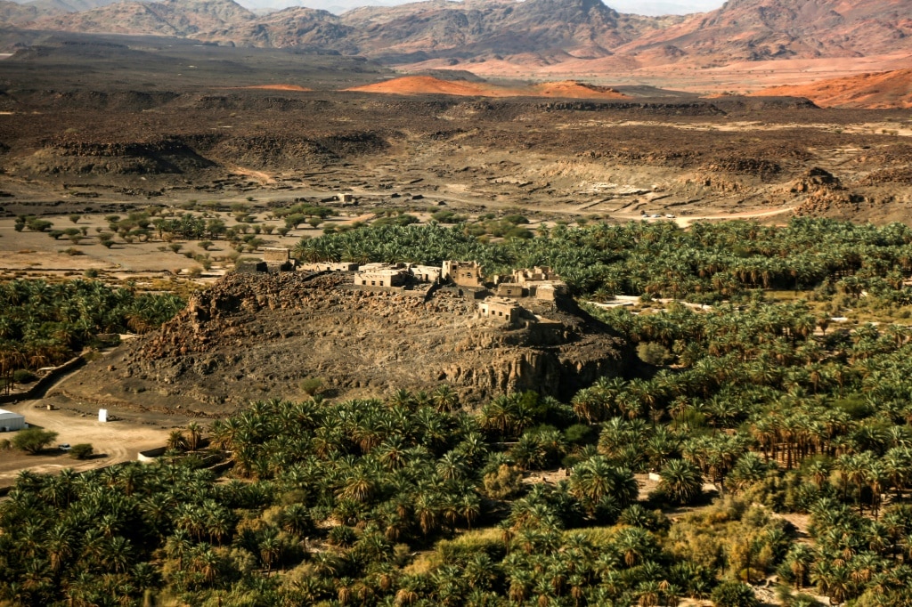 4,000-year-old town discovered hidden in Arabian oasis