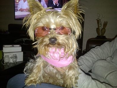 Meet Emma - a real style queen! Submitted by Mandy Ruthven