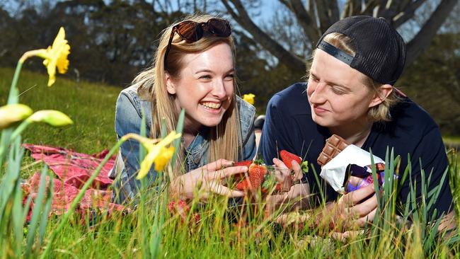 Emilly Diggins and Callum Chandler enjoy the “crazy warm” weather at Mount Lofty Botanic Gardens. Picture: Tom Huntley