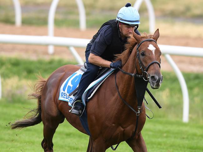 Red Verdon is galloped at Werribee at racecourse in Melbourne, Wednesday, October 31, 2018. (AAP Image/Julian Smith) NO ARCHIVING