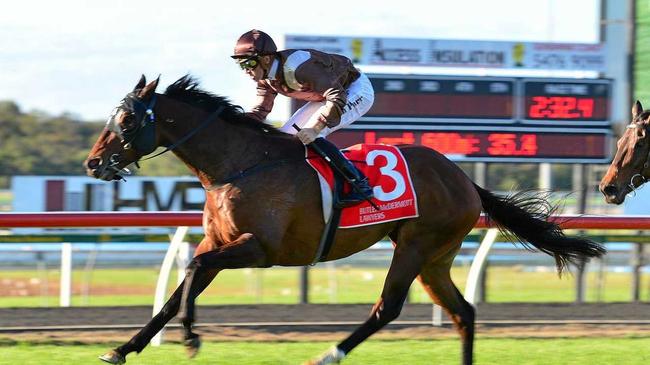 VICTOR: Josh Parr steers Supply and Demand to first place in the Caloundra Cup at Corbould Racecourse. Picture: John McCutcheon