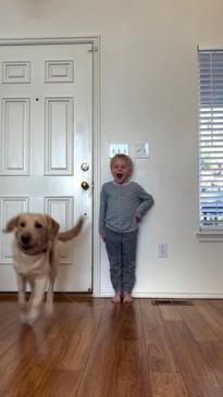 Dog helps young boy by pulling out wobbly tooth