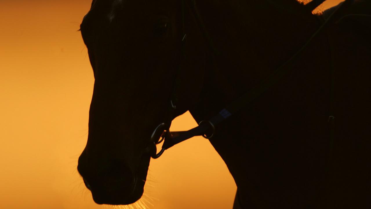 A trackwork rider had his ban for striking a horse increased at an appeals hearing.