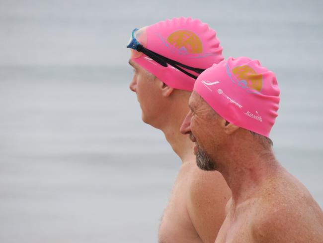 Members of the Peninsula Ocean Swimmers group get ready to attempt to swim around Lion Island. Picture: Richard Noone