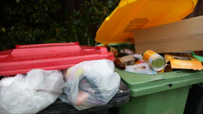 Some residents, including Penrith ratepayers, have to pay more for bigger bins.