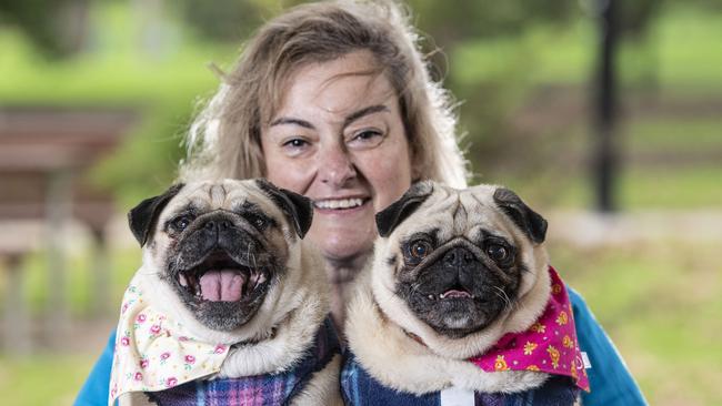 Mia and Charlie the Pugs. Rita Faulks, wanted to create local and healthy pet treats for her pugs Charlie and Mia and will open Charlie and Mia's Barkery (pet bakery) in the coming weeks. Monday, May 23, 2022. Picture: Nev Madsen.