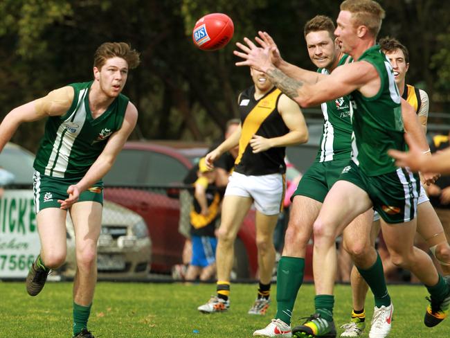 Wantirna is into the Division 3 grand final after a win over Mitcham Picture: Janine Eastgate