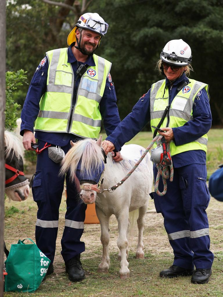 Firefighters come to the rescue of some four-legged friends. Picture: Matrix