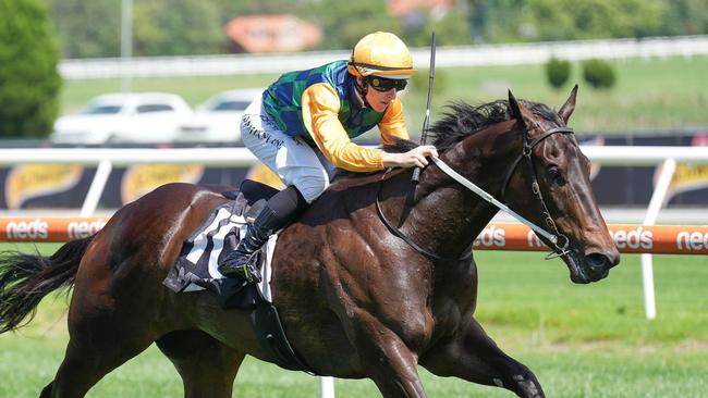 Unconquerable looks hard to beat at Newcastle. Picture: Getty Images