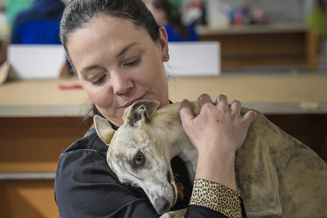 Hayley Gaskell with her whippet Tui. Picture: Roy VanDerVegt