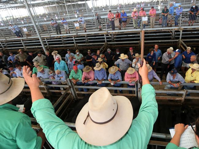 Weaner prices falling