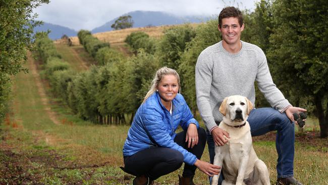 Henry and Anna Terry with truffle dog Doug on their truffle farm at Needles, Northern Tasmania. Picture: Chris Kidd