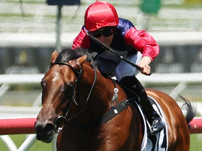 SYDNEY, AUSTRALIA - JANUARY 25: Zac Lloyd riding Open Secret   win Race 1 The Agency Real Estate Handicap during Sydney Racing at Royal Randwick Racecourse on January 25, 2025 in Sydney, Australia. (Photo by Jeremy Ng/Getty Images)