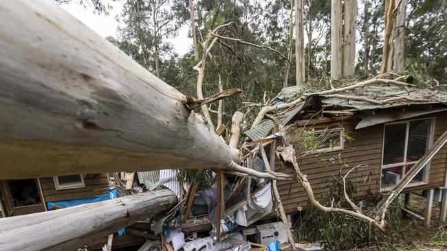 A huge tree crushed a home in Monbulk. Picture: Wayne Taylor