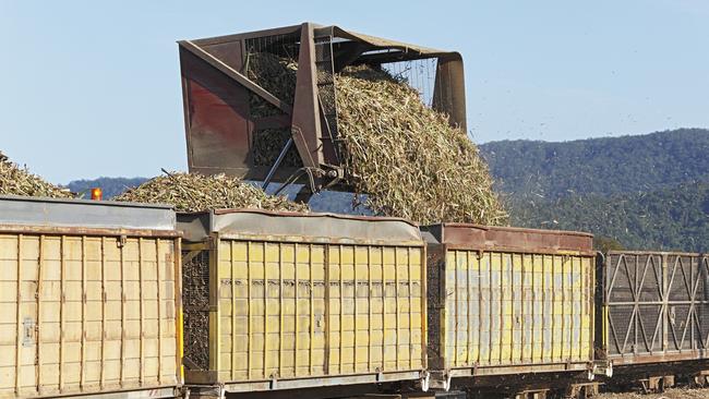 Far North Milling reported a critical shortage of truck drivers during the 2022 crush.