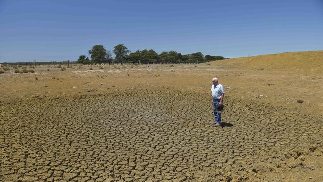 John Mowat, at Stradbroke, has been in drought for over two years. Picture: Dannika Bonser