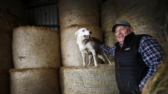 Latrobe dairy farmer Michael Perkins, who has helped co ordinate the Cowbiz Tassie Hay Run, sending fodder to drought-affected farms. PICTURE CHRIS KIDD