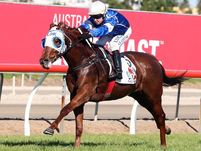 Gold Coast Bulletin only Please check with Picture Editor before use.Racing at Gold Coast Turf Club.Winner of race 4, number 5 Calligrapher.Jockey is Jason Taylor, trainer is Les Kelly (Gold Coast).Photo by Richard Gosling