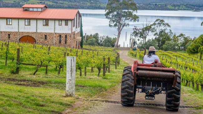 Marion’s Vineyard was another to be named in the top 50. Picture: Supplied