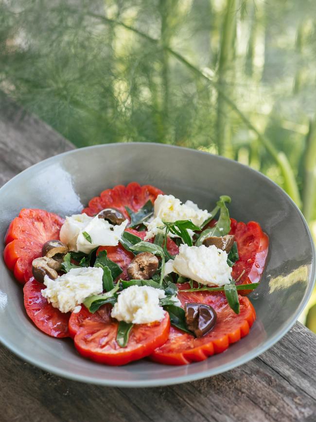 Tomato salad